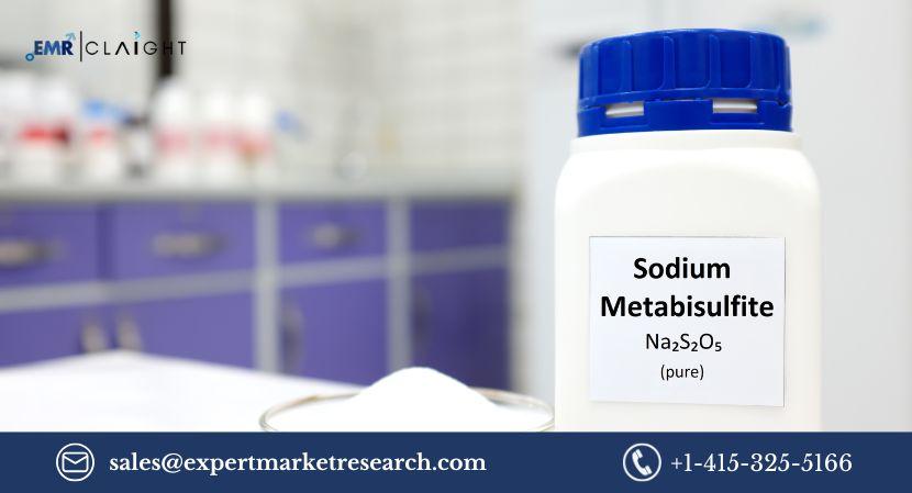 Sodium Metabisulphite Market: Trends, Growth, and Insights (2025-2034)