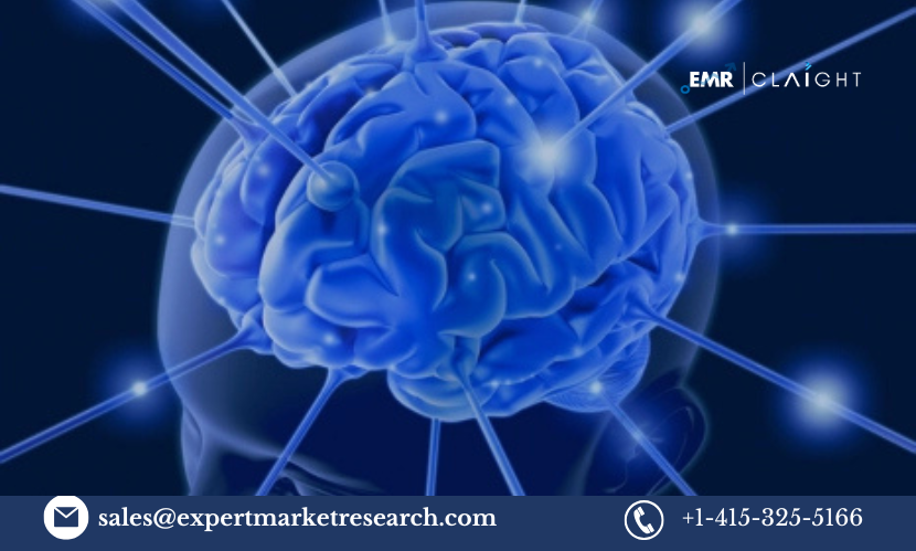 Wireless Brain Sensors Market Overview: Size & Growth Industry Forecast | 2034