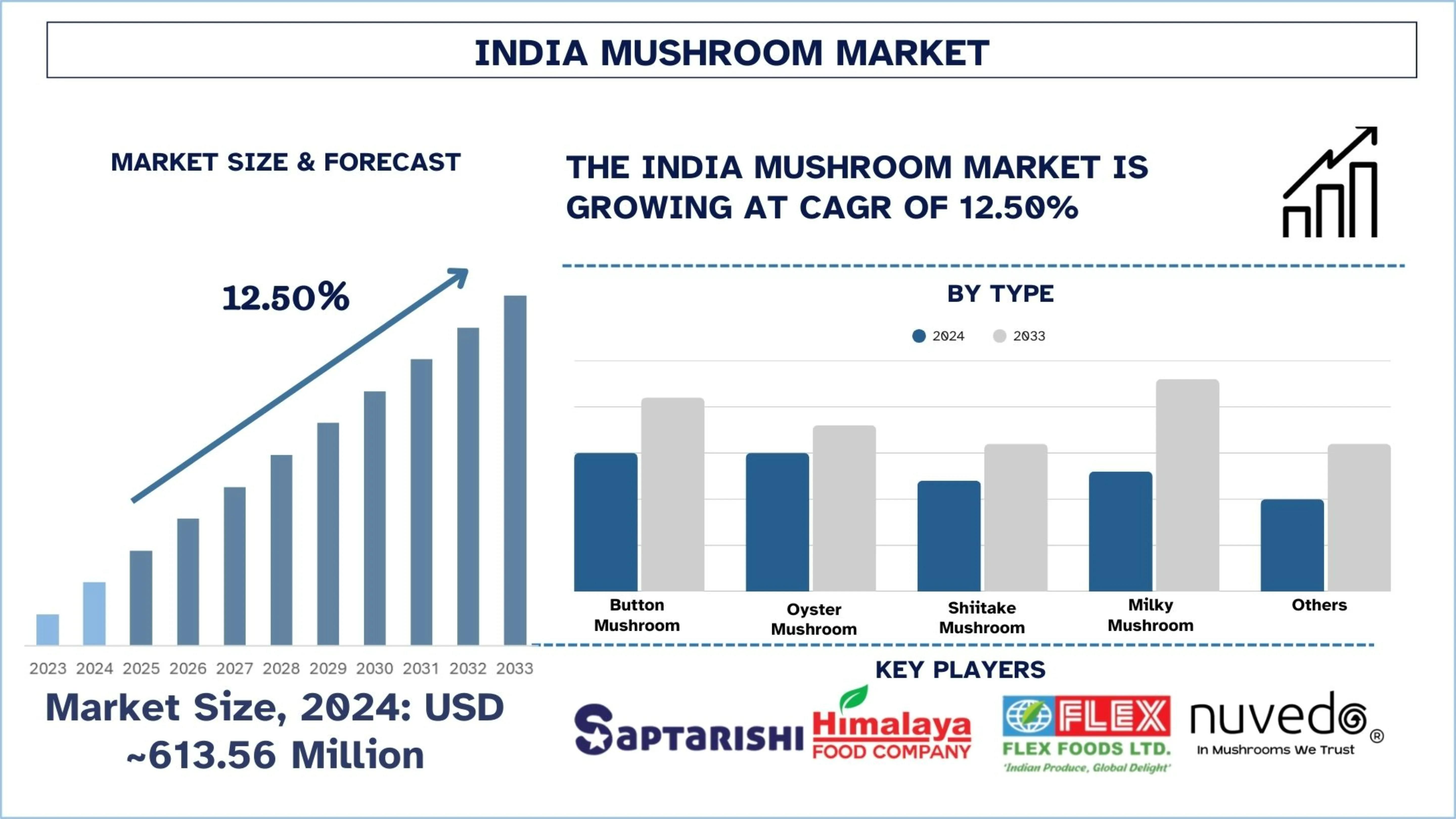 India Mushroom Market Size, Share & Research Report (2025–2033) | UnivDatos
